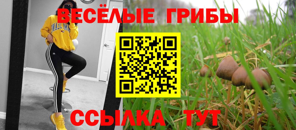 Галлюциногенные грибы ЛСД  Галлюциногенные грибы MAGIC MUSHROOMS  Вход с VPN  Ачхой-Мартан 
